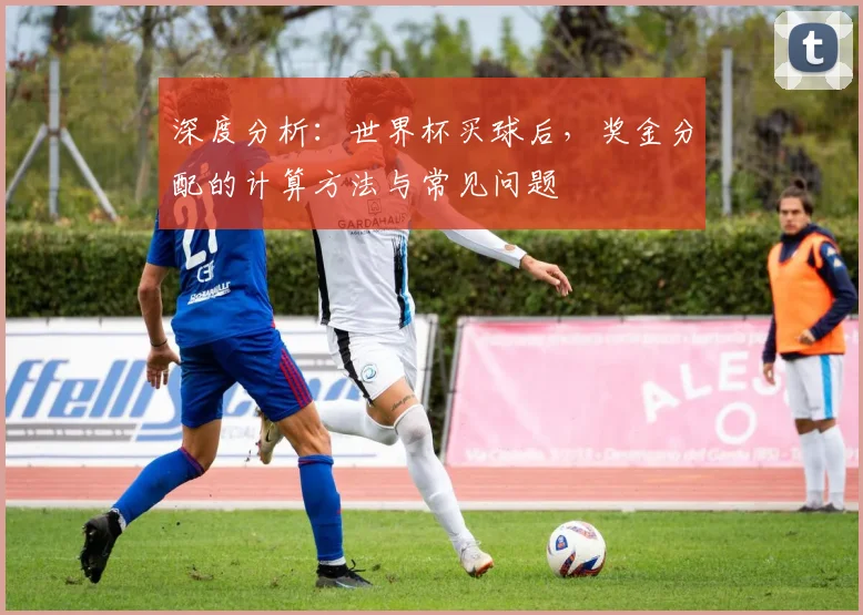深度分析:世界杯买球后,奖金分配的计算方法与常见问题