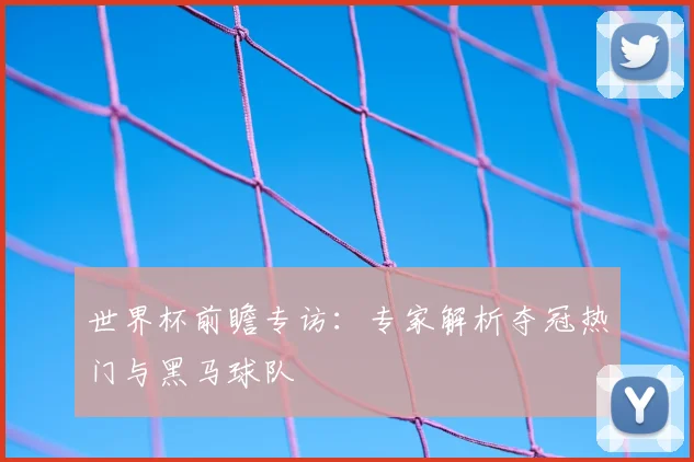 世界杯前瞻专访:专家解析夺冠热门与黑马球队