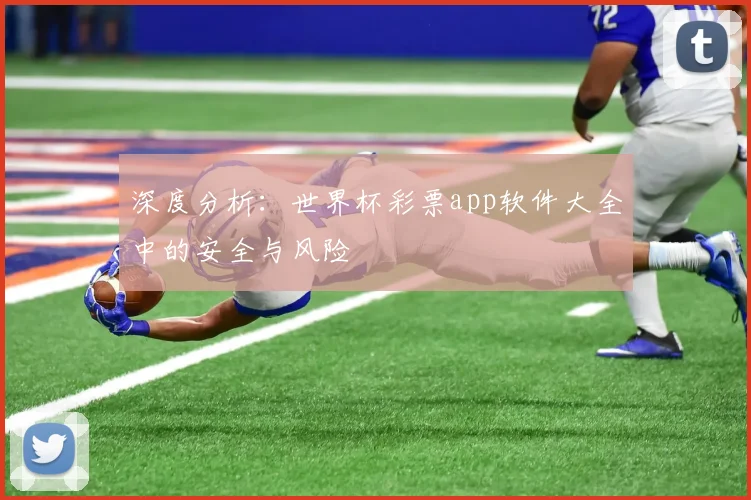 深度分析:世界杯彩票app软件大全中的安全与风险