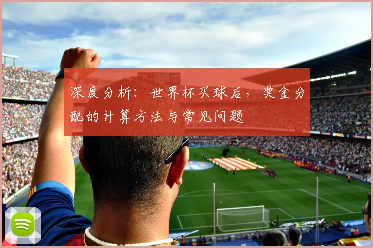 深度分析:世界杯买球后,奖金分配的计算方法与常见问题