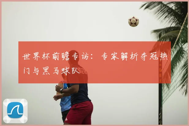 世界杯前瞻专访:专家解析夺冠热门与黑马球队